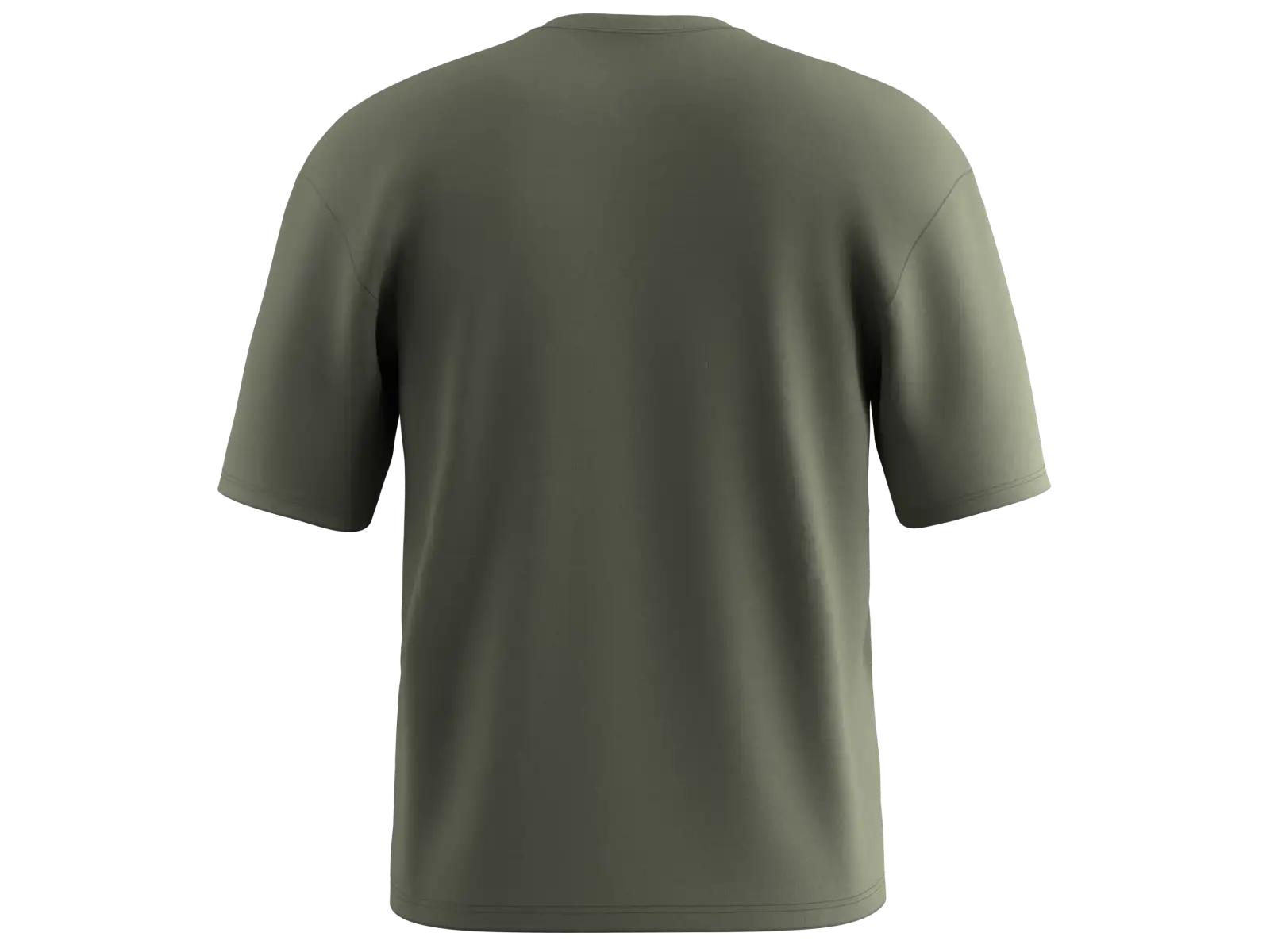 Salewa Eagle Outside Loose men's T-shirt Faded Green