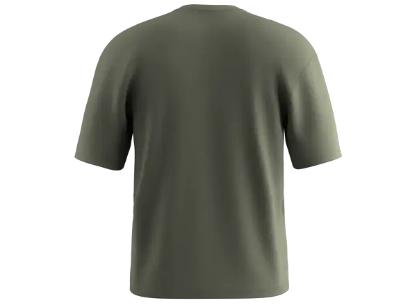 Salewa Eagle Outside Loose men's T-shirt Faded Green