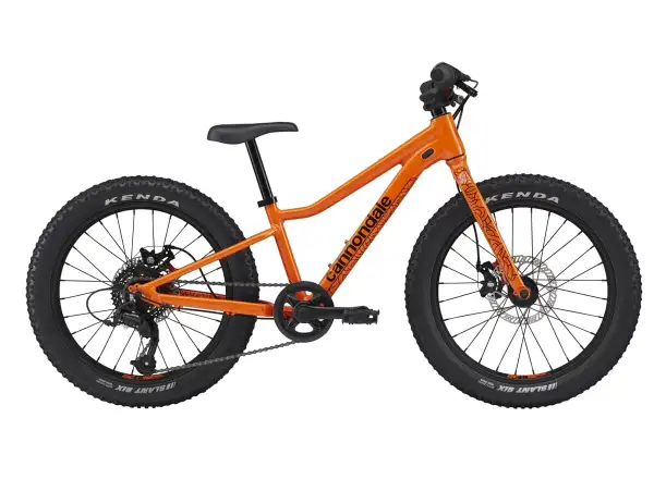 Cannondale Kids Trail Plus 20 ORG children's bike