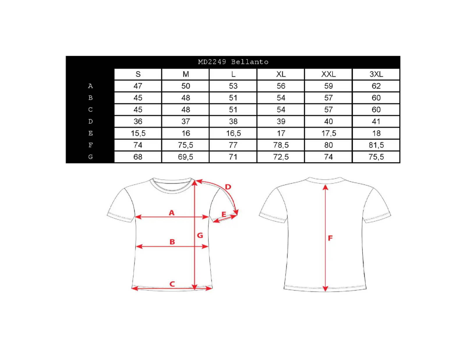 Silvini Bellanto men's shirt short sleeve Cloud