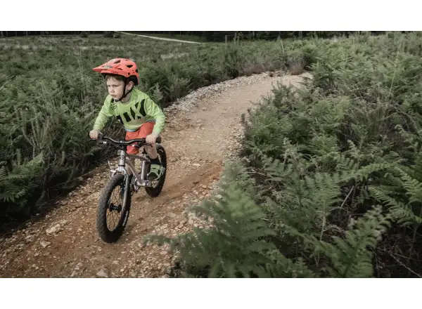 Early Rider Seeker 16 children's bike Sage Green