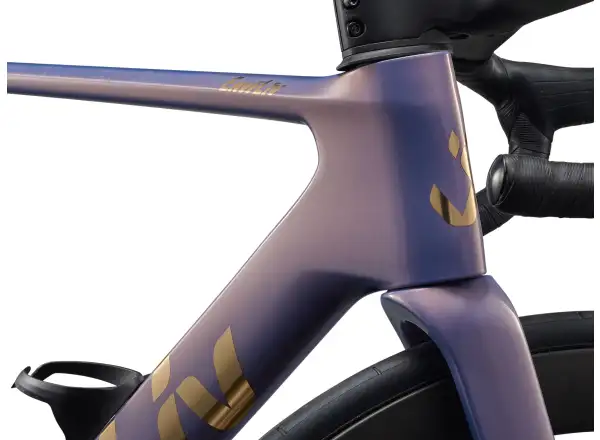 Liv EnviLiv Advanced Pro 0-Di2 road bike Ember Violet