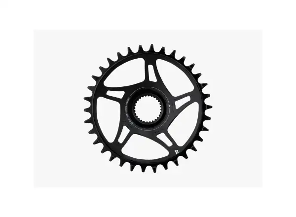 Race Face chainring BG4 Direct Mount 55 36T chainring black