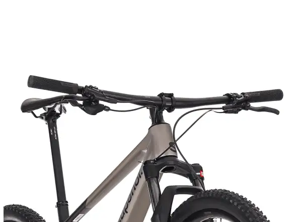 Superior XP 9.1 mountain bike Matte Dark Chrome/Carbon