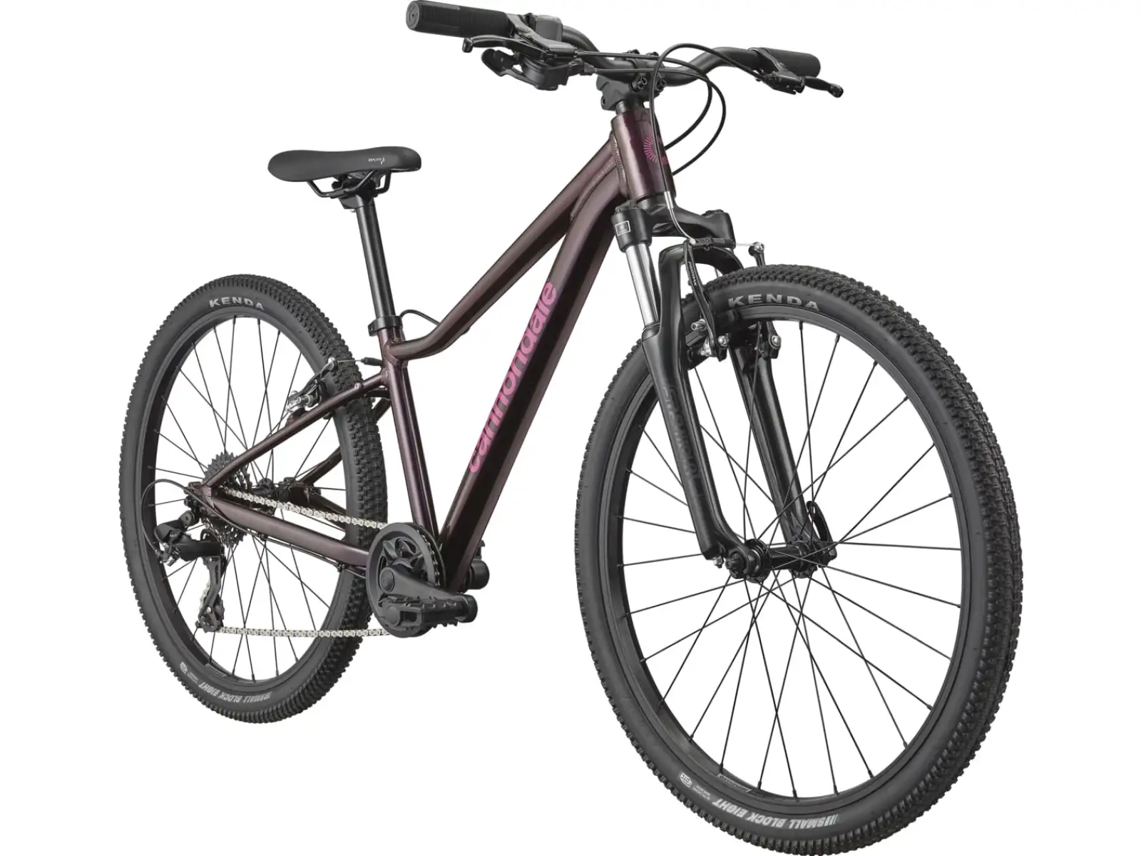 Cannondale Trail 24 kids bike Royal Purple