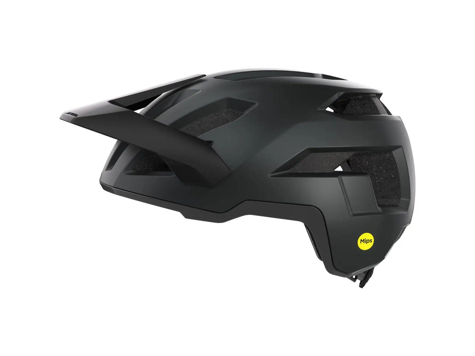 Alpina Taunus Mips helmet Black Matt