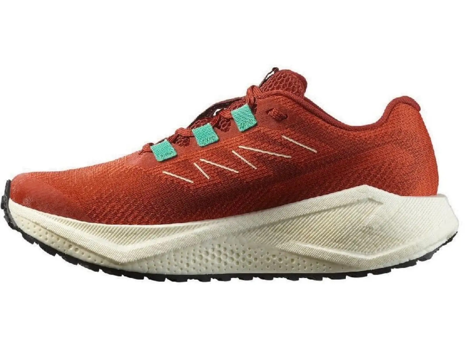 Salomon Aero Blaze 3 GRVL W women's running shoes Burnt Ochre/Vanilla Ice/Vanilla Ice