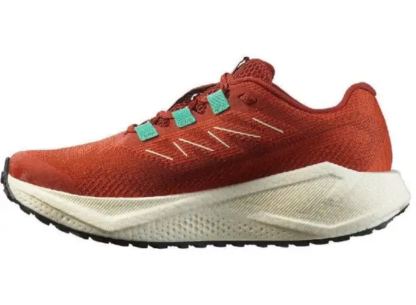Salomon Aero Blaze 3 GRVL W women's running shoes Burnt Ochre/Vanilla Ice/Vanilla Ice