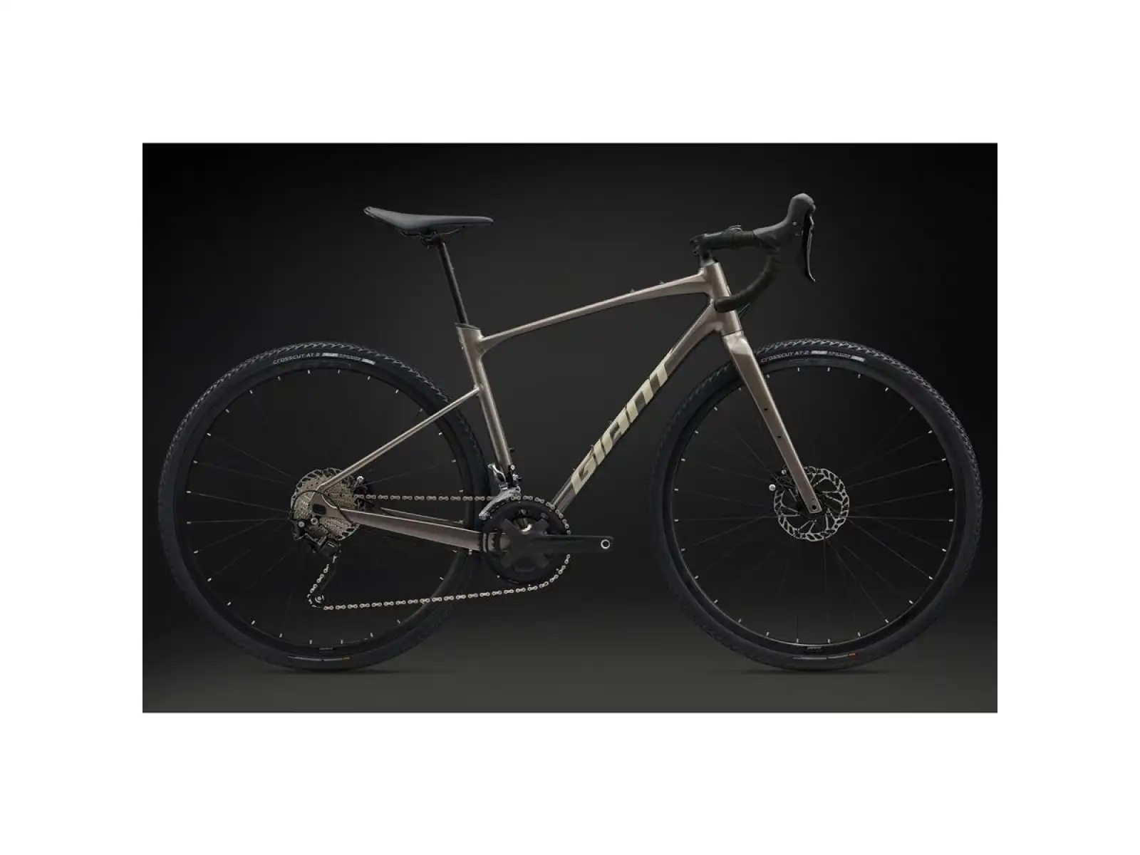 Giant Revolt 1 gravel bike Metal