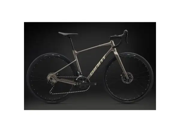Giant Revolt 1 gravel bike Metal
