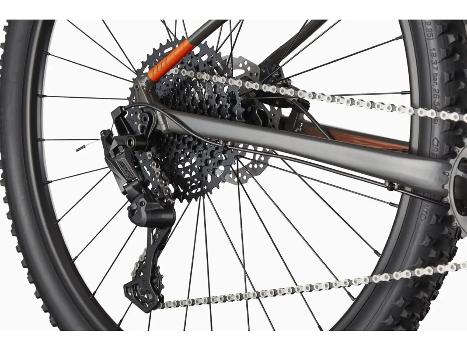 Cannondale Trail SL 4 29" mountain bike Orange