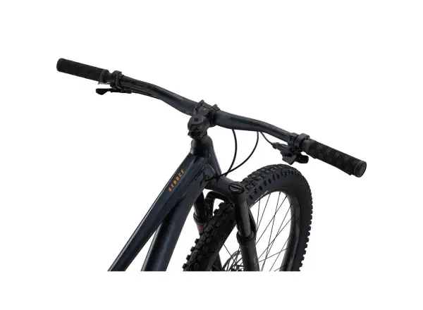 Giant Stance 29 1 full suspension bike Metallic Black