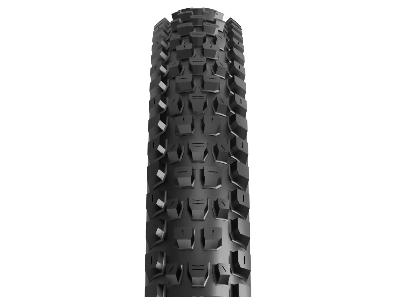 Maxxis Dissector G2 MaxxTerra/Exo+/TR 29x2,40" MTB tire kevlar