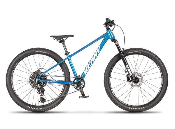 Beany Blaster 20 children's bicycle Blue