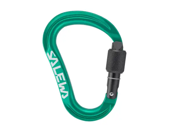 Salewa Ortles HMS Screw carabiner M Irish Green