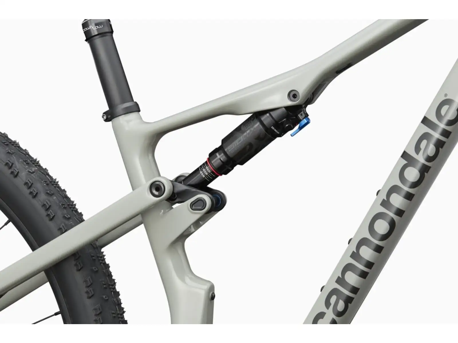 Cannondale Scalpel Carbon 3 mountain bike Tiger Shark