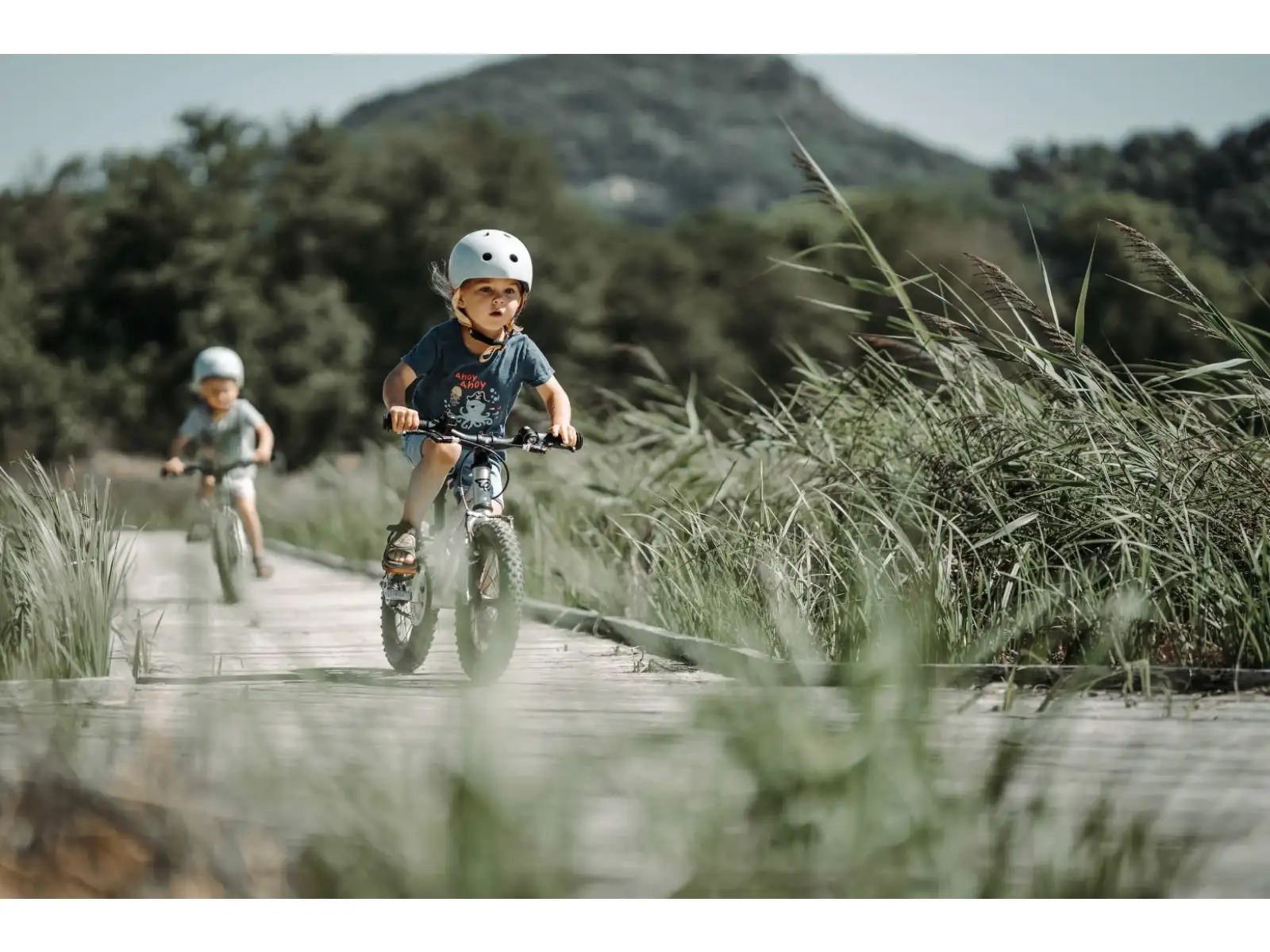 Early Rider Seeker 14 children's bike Violet Haze