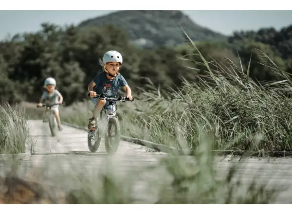 Early Rider Seeker 14 children's bike Violet Haze