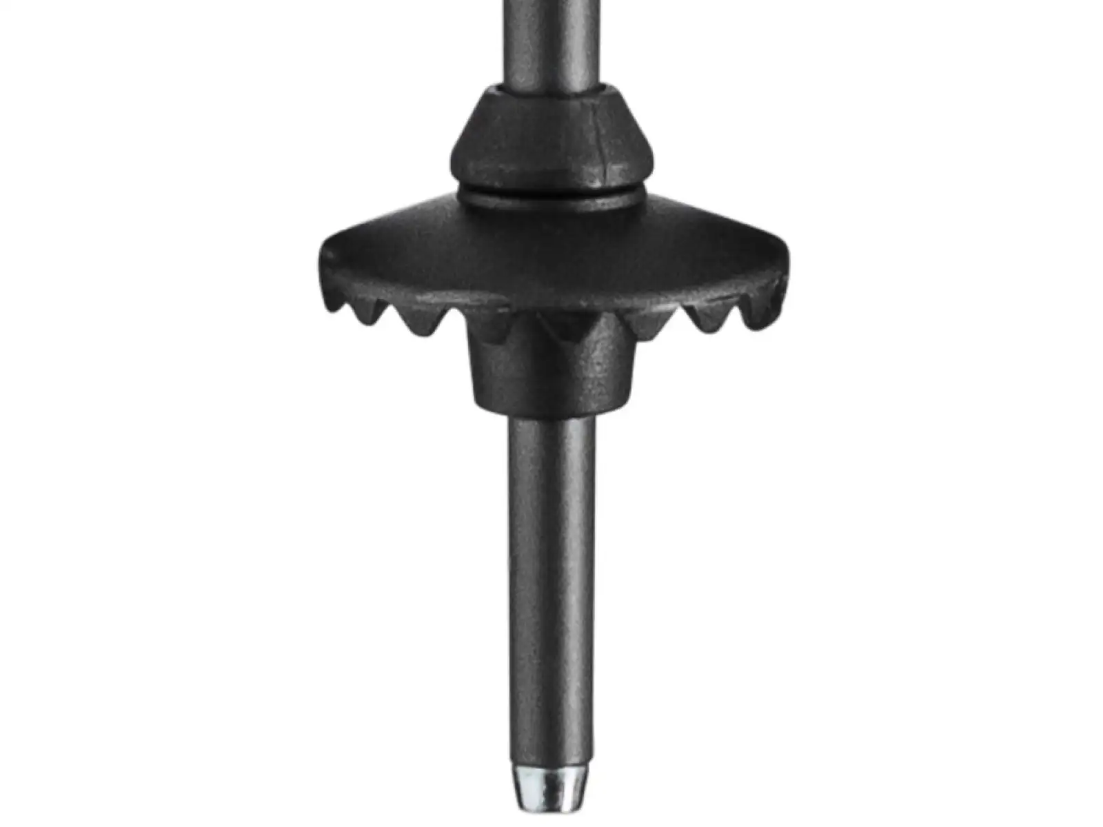Leki Neolite downhill poles dark anthracite-black-bright red