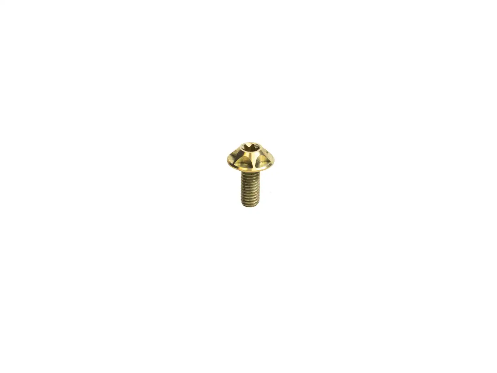 Silca Ti set of cage bolts Gold
