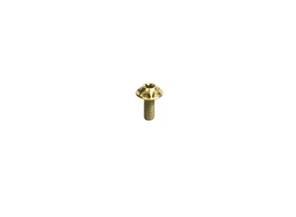 Silca Ti set of cage bolts Gold