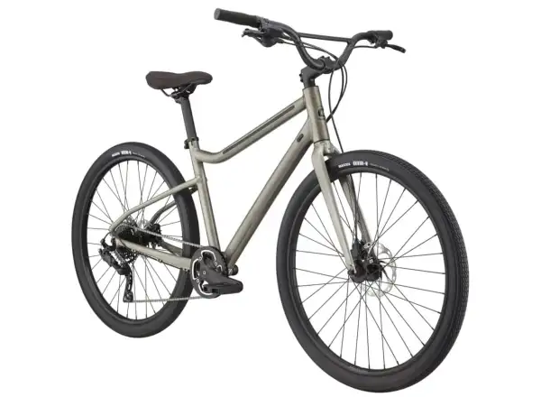 Cannondale Treadwell 2 Ltd fitness bike Raw