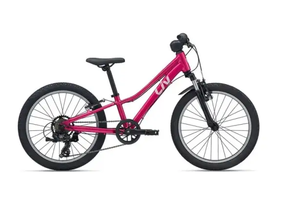 Giant Tempt 20 children's mountain bike Virtual Pink