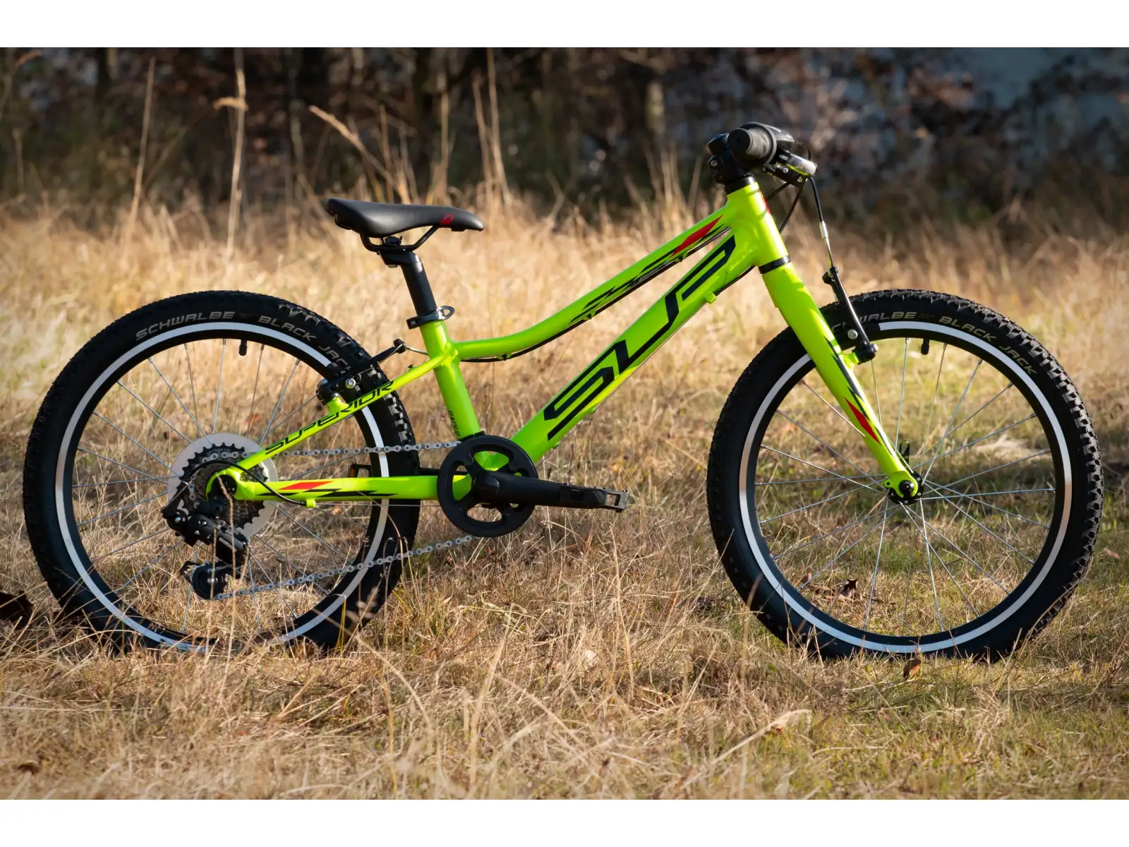 Superior Racer XC 20 Matte Lime/Black/Red children's mountain bike