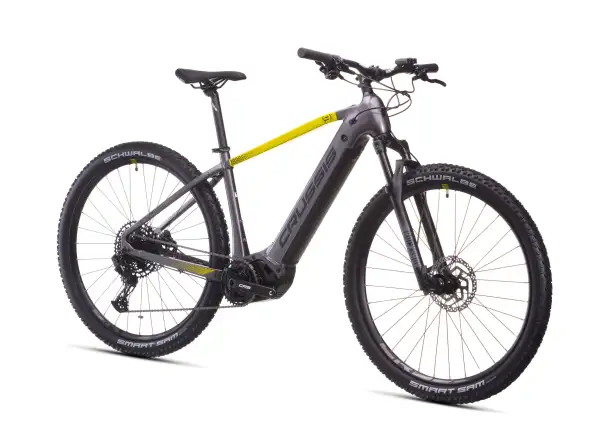 Crussis e-Largo 9.11 894Wh mountain e-bike