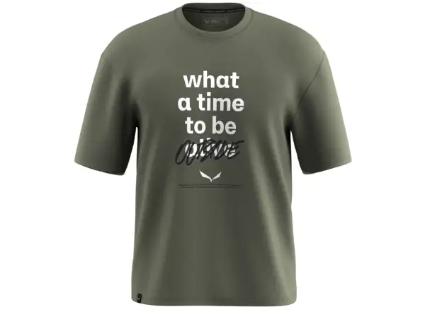 Salewa Eagle Outside Loose men's T-shirt Faded Green