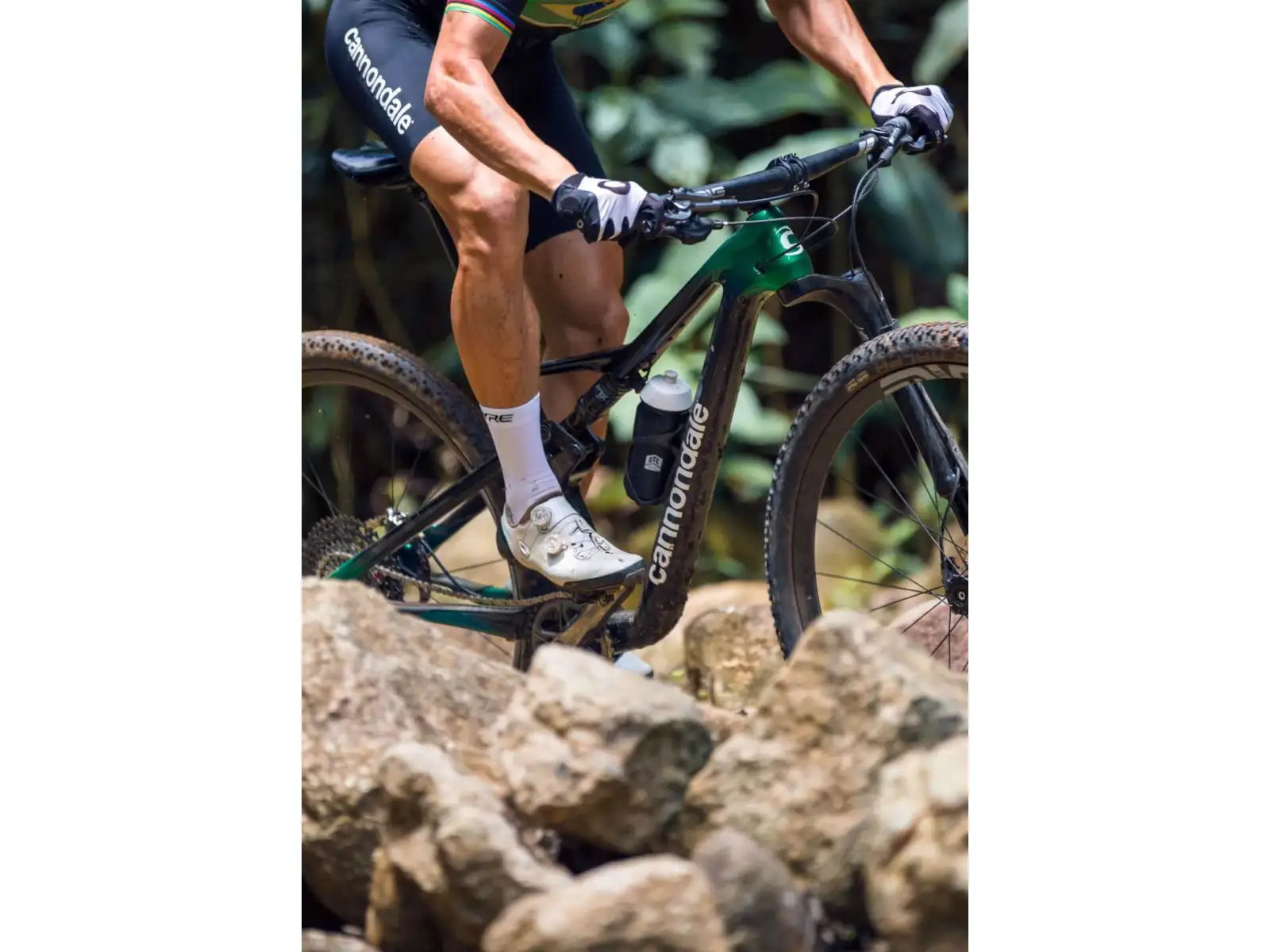 Cannondale Scalpel Carbon 4 mountain bike Jungle Green