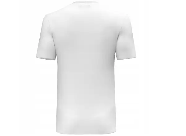 Salewa Solidlogo Dry men's T-shirt short sleeve White