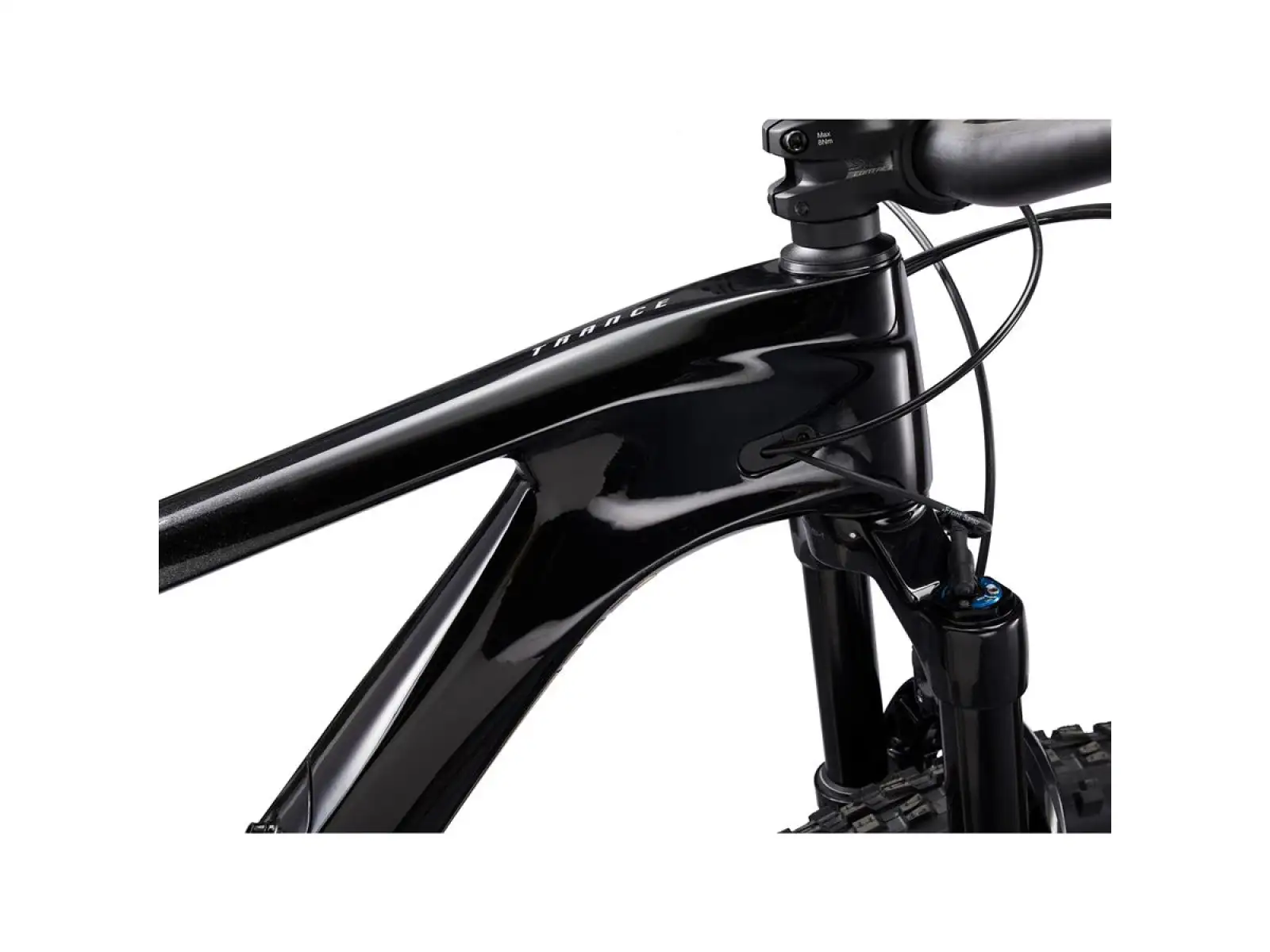 Giant Trance Advanced Pro 29 1 mountain bike carbon/black diamond