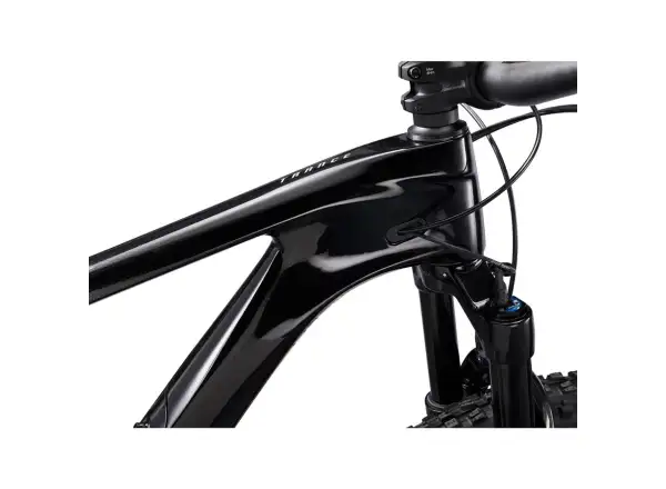 Giant Trance Advanced Pro 29 1 mountain bike carbon/black diamond