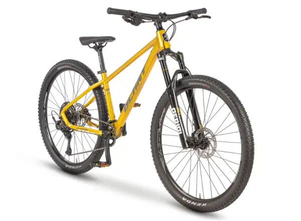 Beany Blaster 27.5 Gold kids' bike