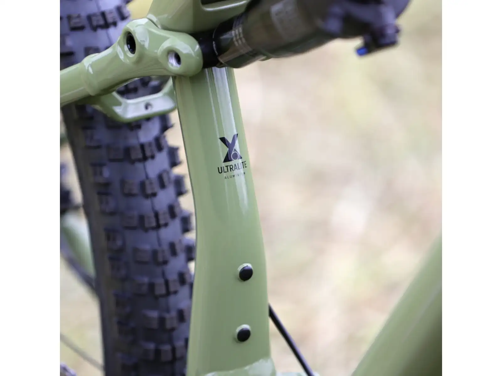 Superior XF 6.2 DC mountain bike Gloss Olive