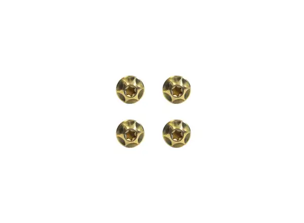 Silca Ti set of cage bolts Gold