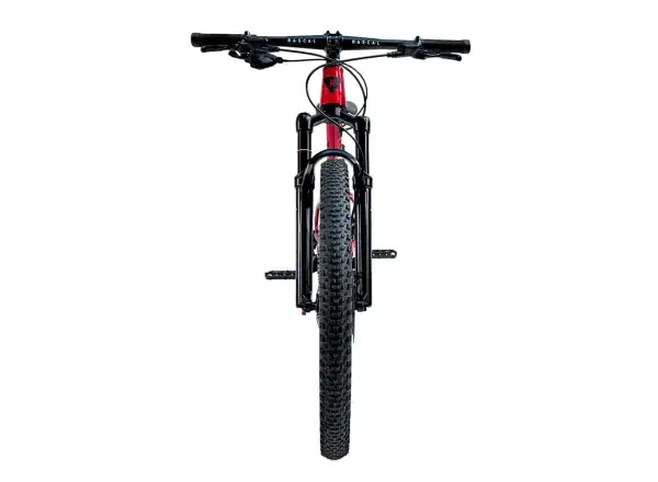 Rascal Wild 24 kids bike Ruby Red