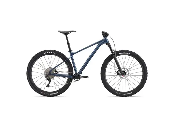 Giant Fathom 29 2 mountain bike blue ashes