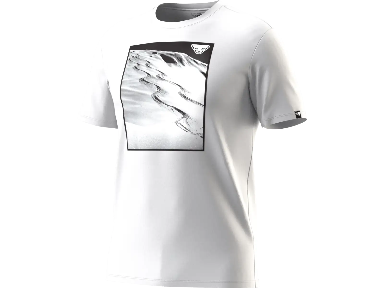Dynafit Graphic Cotton men's T-shirt short sleeve Smoke Blue/Tabloid