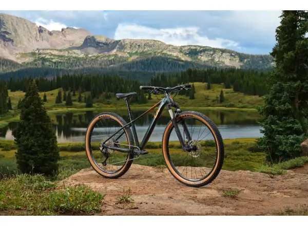 Liv Tempt 0 women's mountain bike 29" Asphalt Green