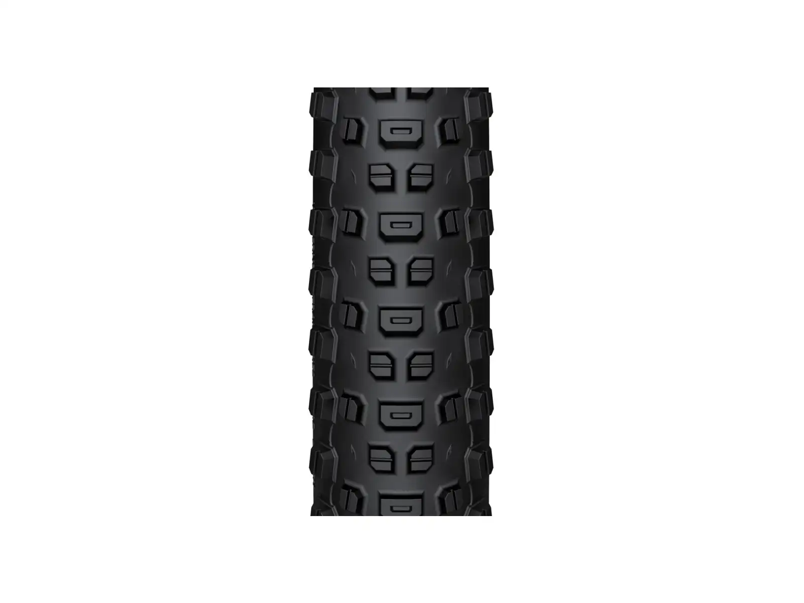 WTB Ranger 2.6 29'' TCS Light Fast Rolling tire kevlar black/brown
