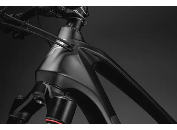 GT Force Carbon Pro DGR mountain bike