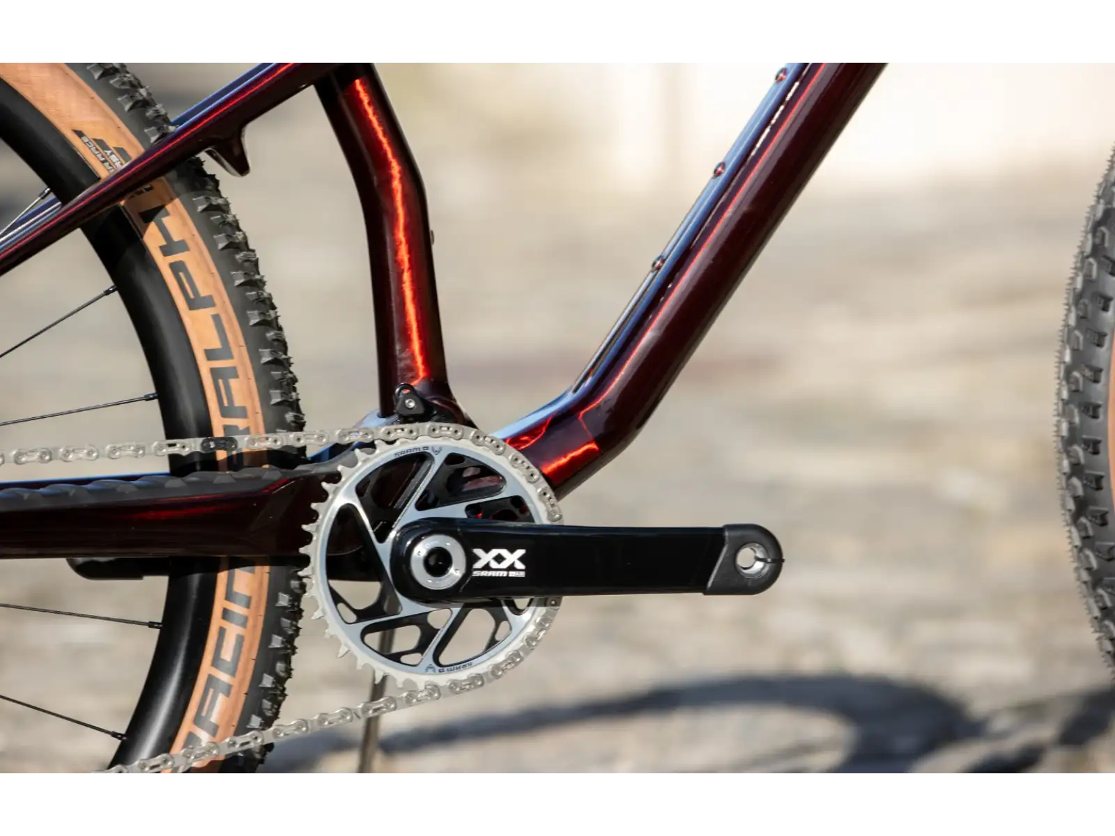 Superior XF 9.9 Team mountain bike Gloss Red Carbon / Black