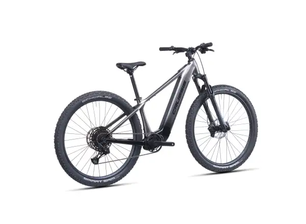 Crussis ONE-Fionna AX 9.12-M2(600) mountain e-bike