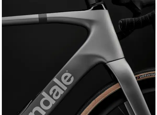 Cannondale Synapse Carbon 2 road bike Grey (GRY)