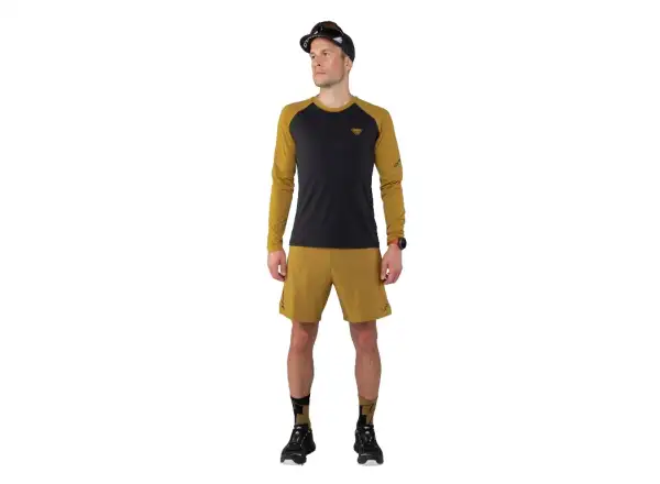 Dynafit Alpine Pro men's long-sleeve shirt Black Out/Tobacco