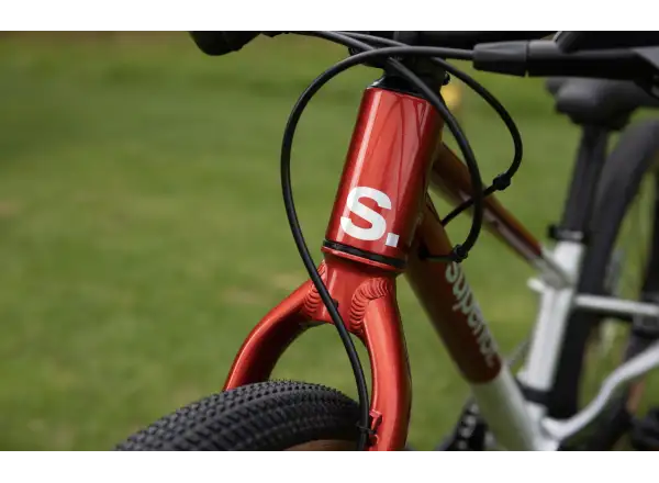 Superior TEAM 20 kids bike Gloss Brushed Alu / Red