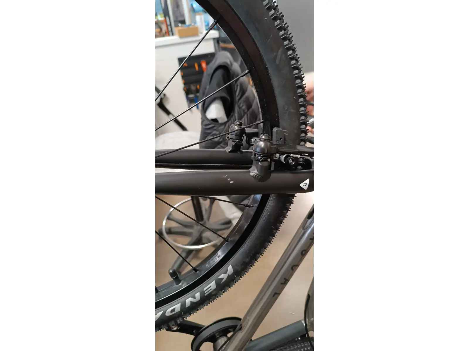 Rascal 20 children's bicycle Titanium