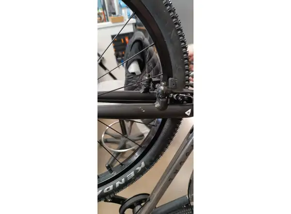 Rascal 20 children's bicycle Titanium